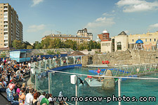 Moscow Zoo Dolphinarium